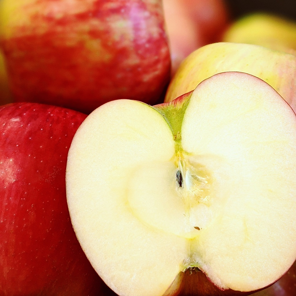 New Crop Washington Honeycrisp Apples are now just 99¢ lb!